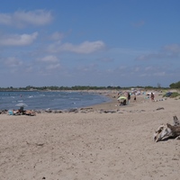 Photo de France - La randonnée de la Tamarissière